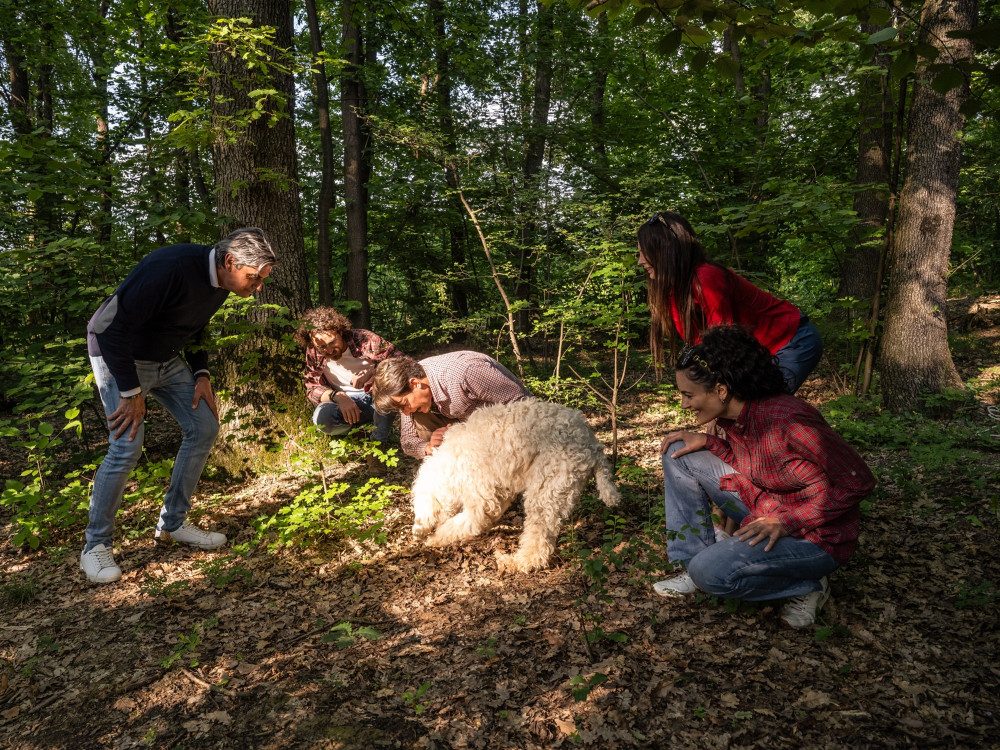 Persone e un cane da tartufo durante la ricerca nel sottobosco