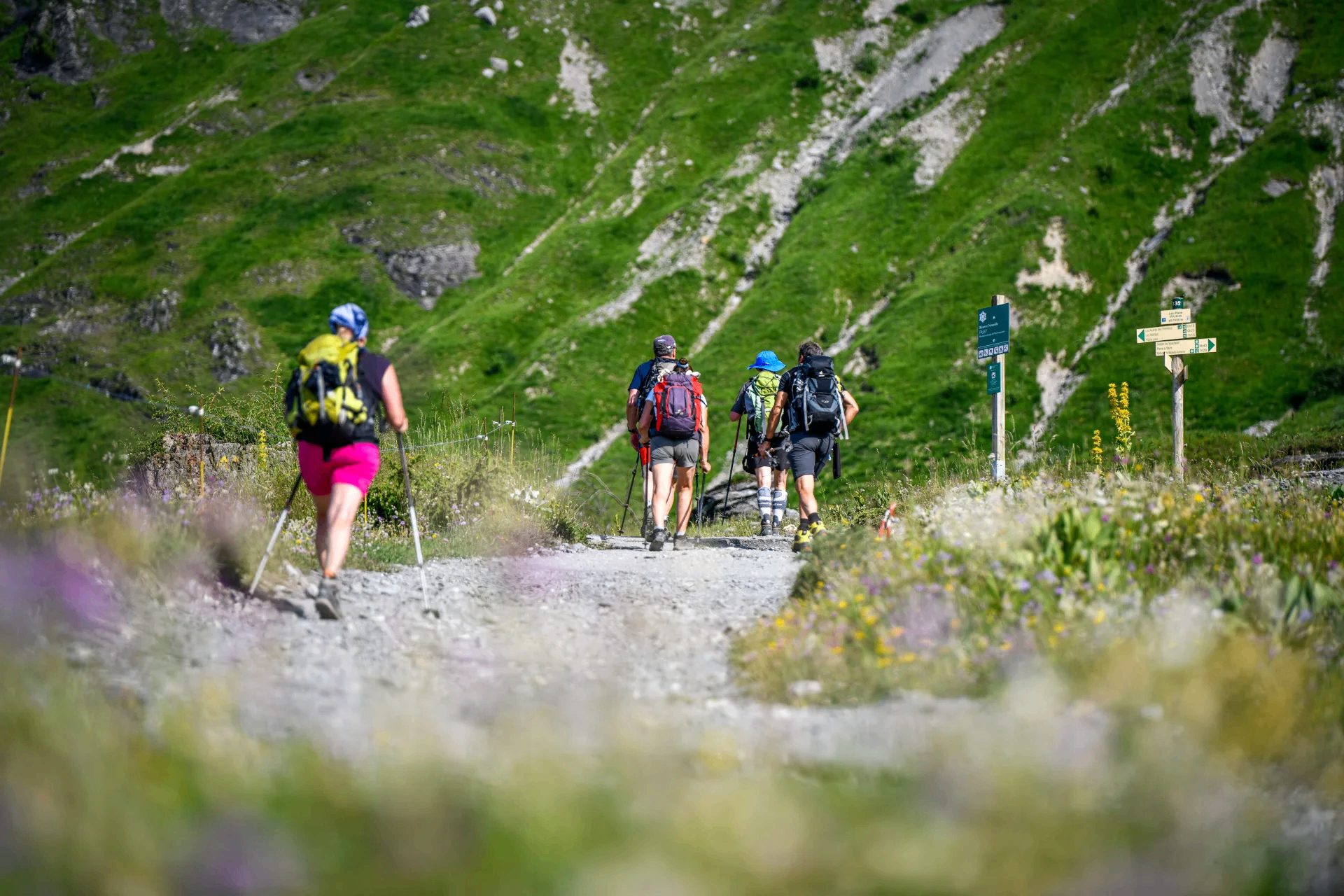 Escursionisti in cammino su un sentiero di montagna